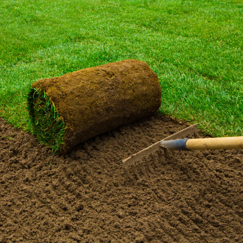 Planting & Sod Installation